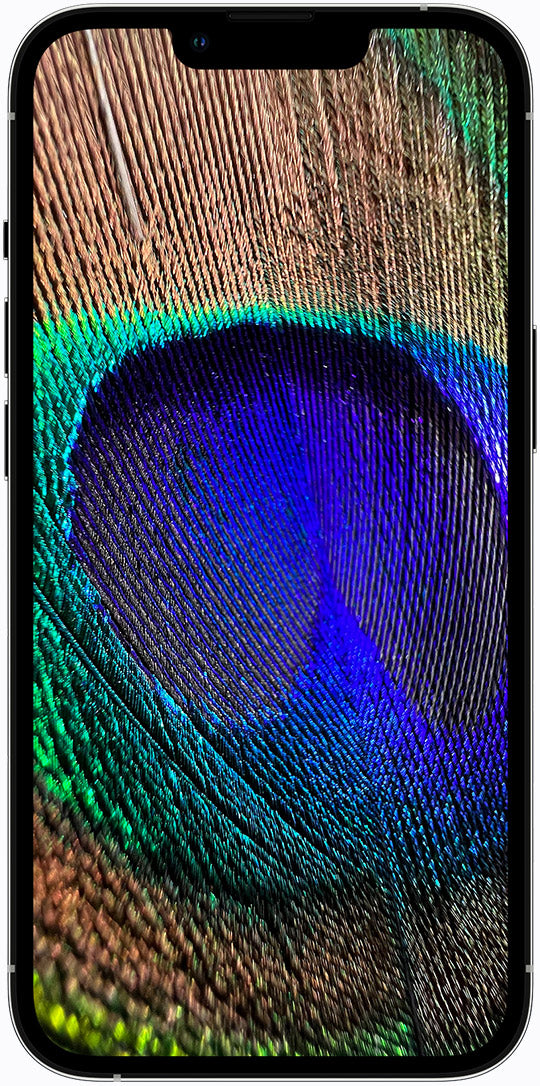 Used iPhone 13 Pro Max
