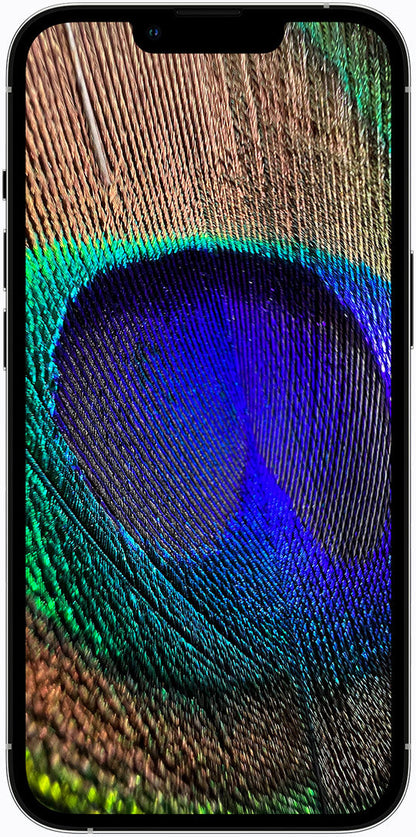Used iPhone 13 Pro Max
